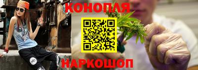 индика Новозыбков