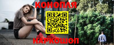 гидра Новодвинск