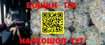 индика Новозыбков