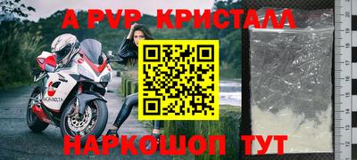 индика Новозыбков