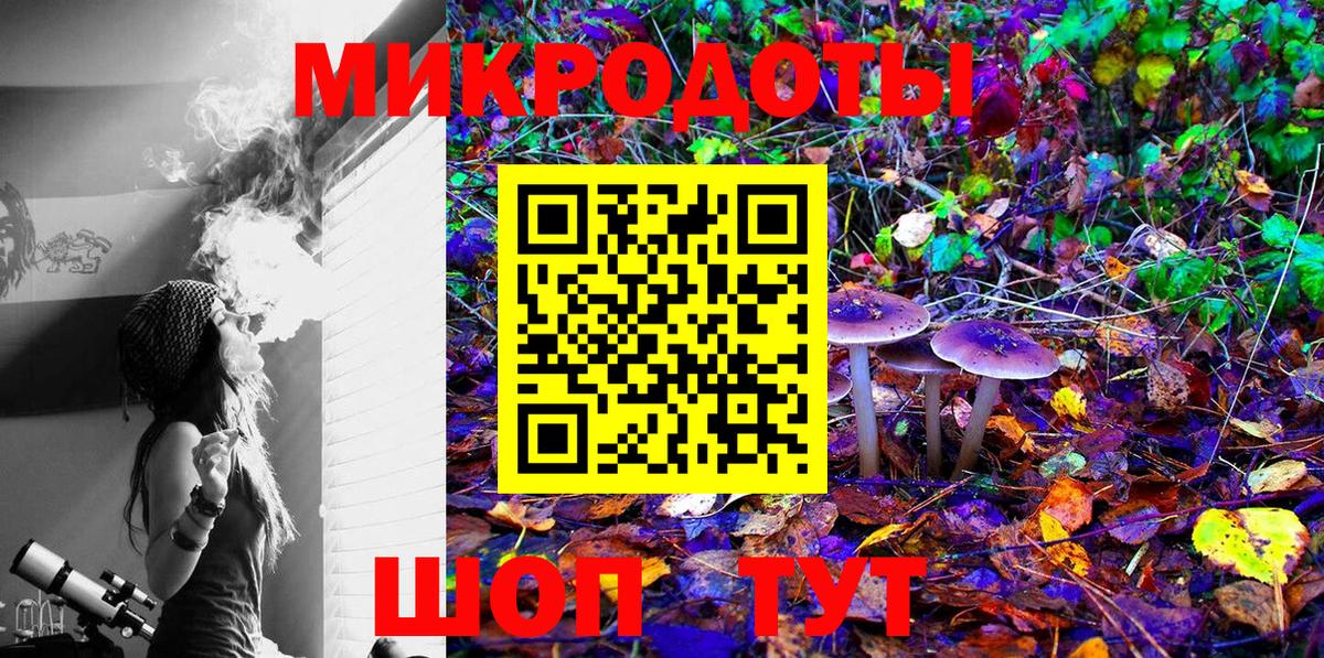 Сосновый Бор  Галлюциногенные грибы Cubensis  Вход с VPN 