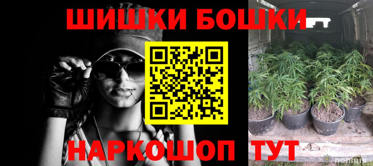 Канабис Bruce Banner Сосновый Бор